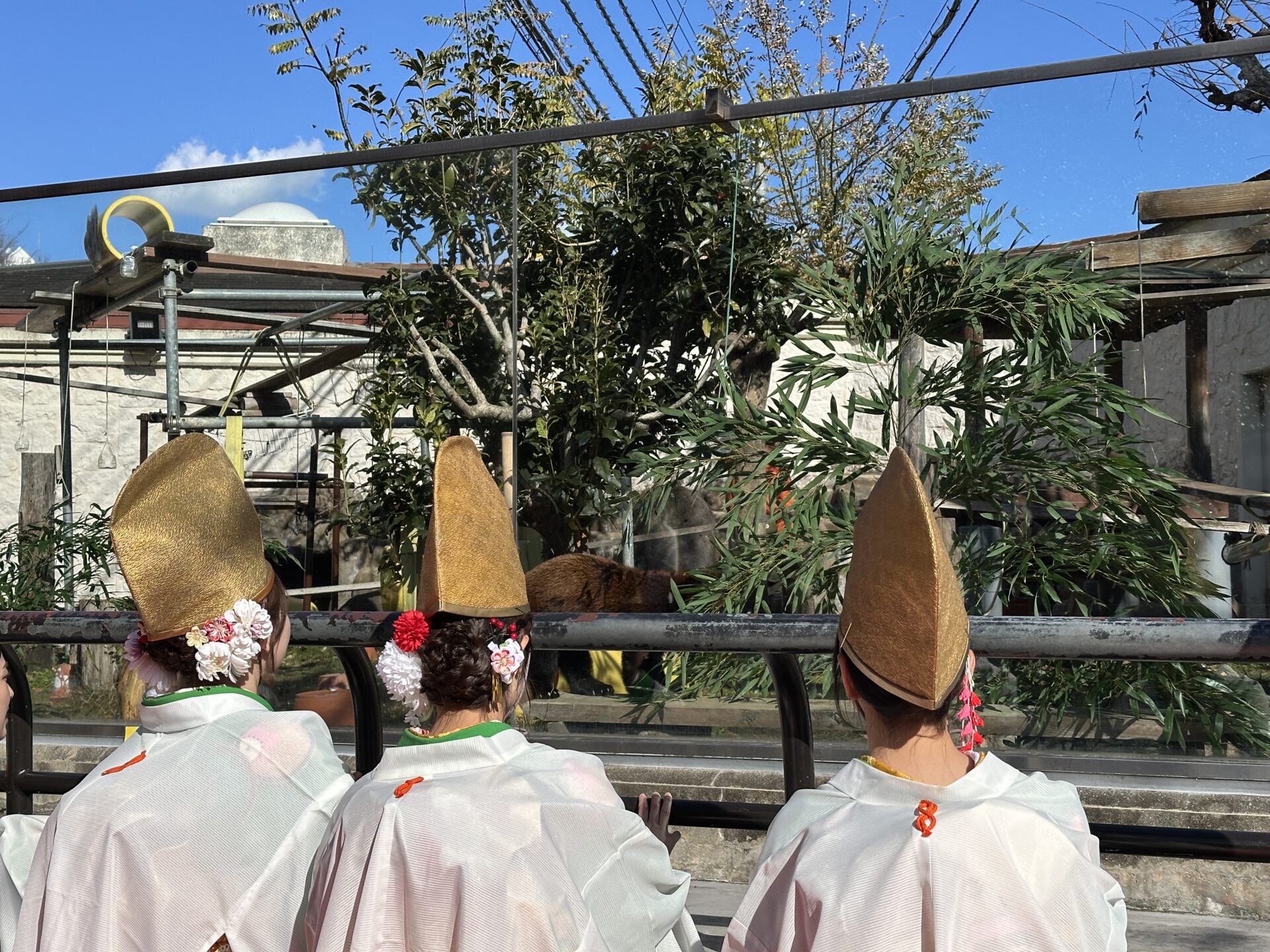「今宮戎神社 福笹プレゼントイベント」を実施しました! | 地方独立行政法人天王寺動物園