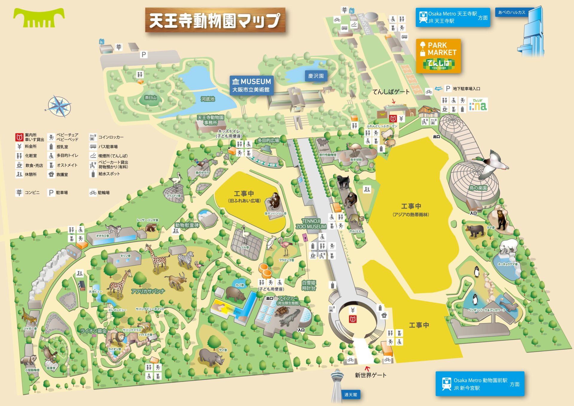 天王寺動物園のキーウィの死亡について | 地方独立行政法人天王寺動物園