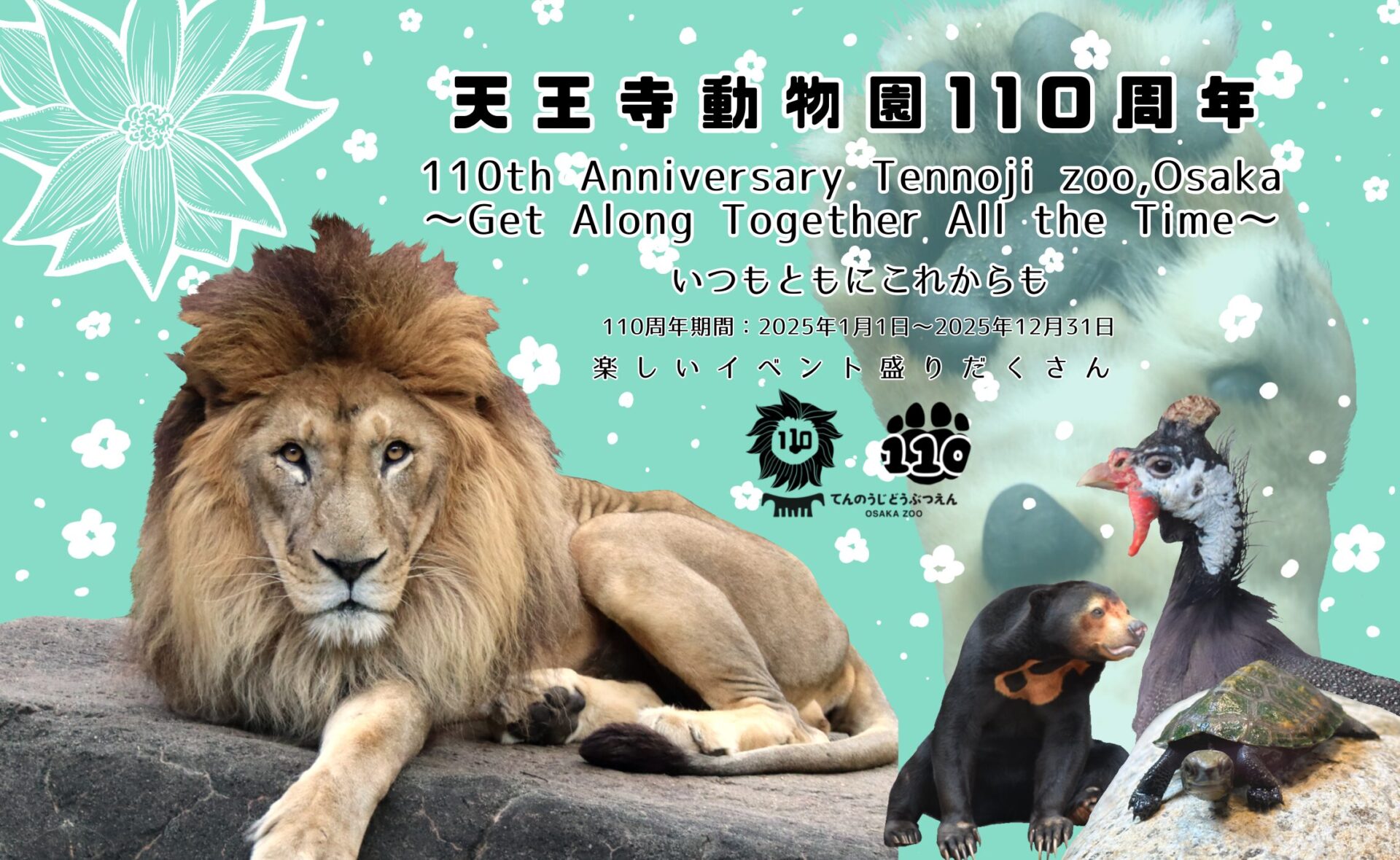 20周年記念ウォークマン年鑑 : 1979～1999 （ソニーグループ