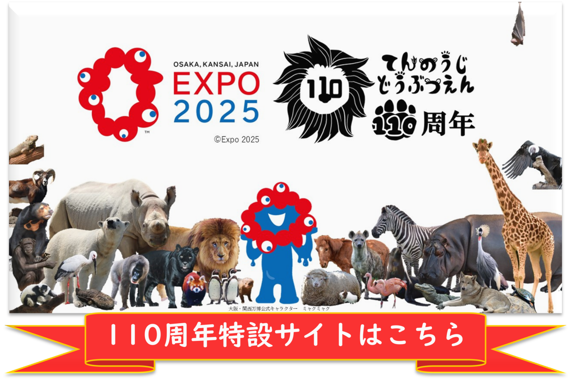 トップページロゴ下用画像