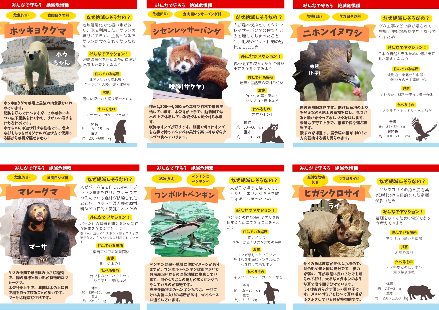 みんなの願いよ届け！どうぶつを知って守ろうスペシャルイベント」を 