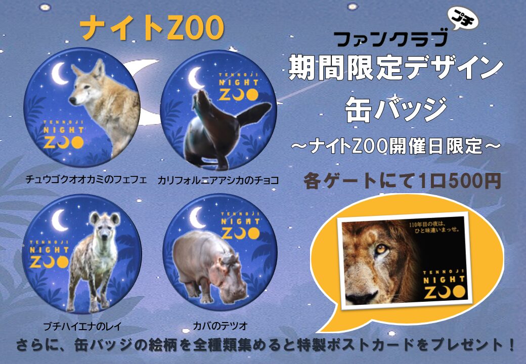 どうぶつの森 缶バッジ まとめ売り 予約商品】グリッター缶バッジコレクション vol.8 A BOX 特典