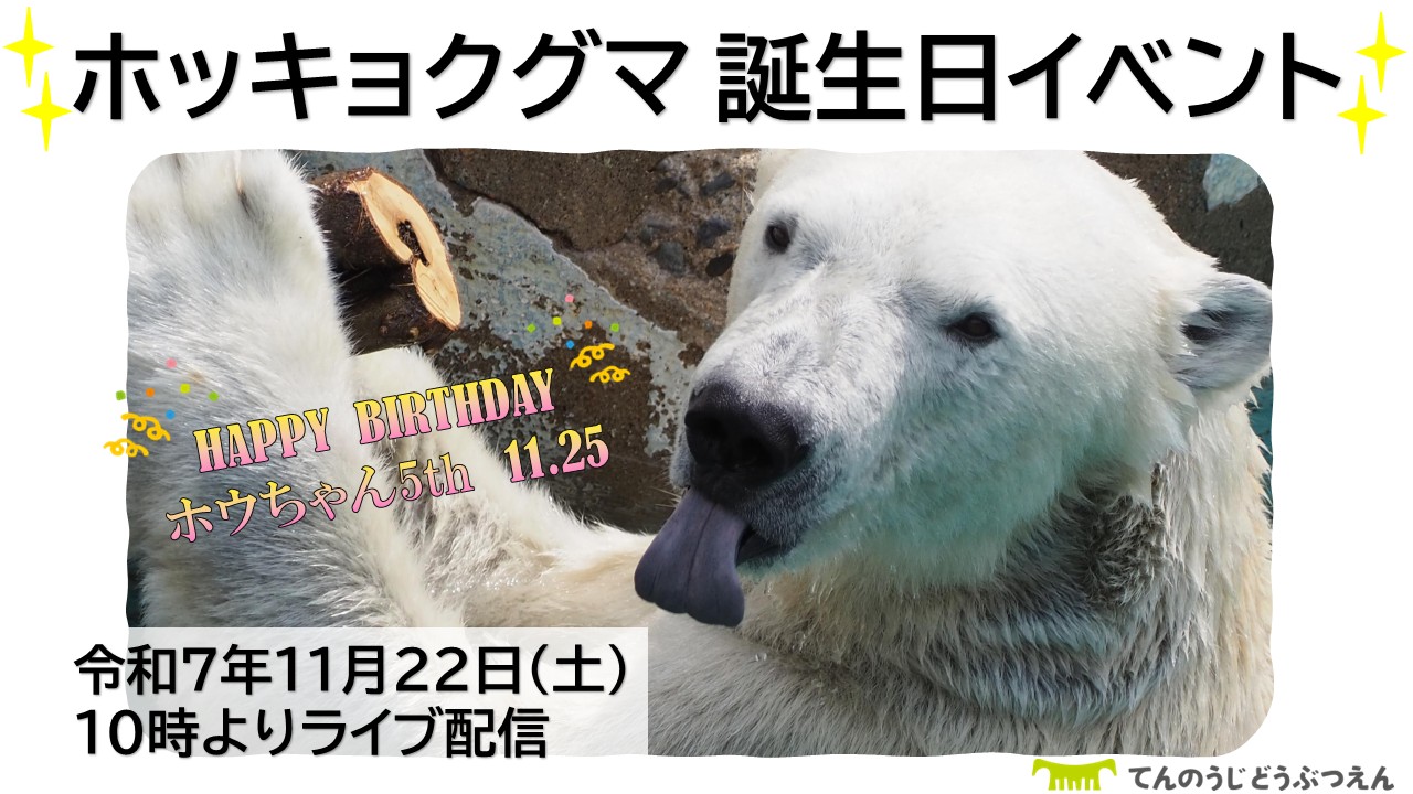 ホッキョクグマ誕生日プレゼントイベント」の注意点とライブ配信の 