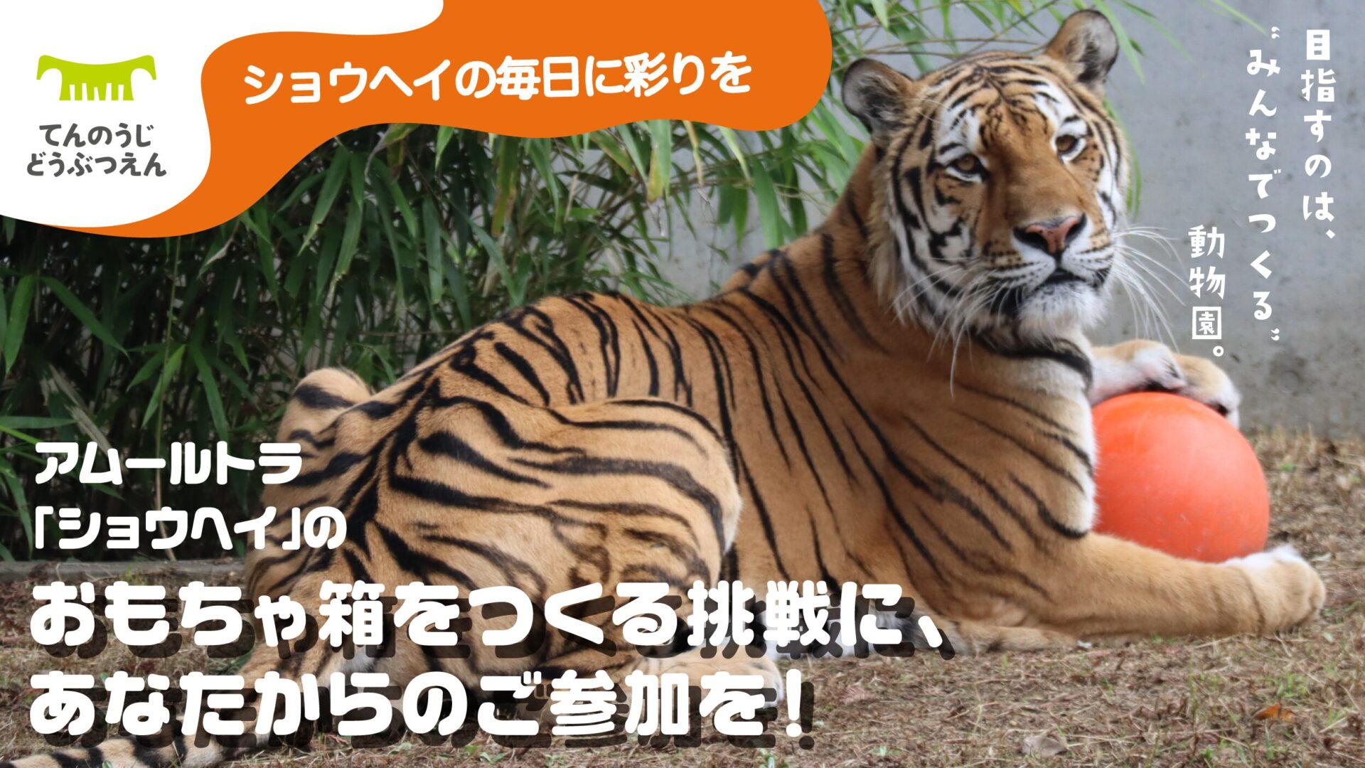 天王寺動物園が、1400万円を第一目標にクラウドファンディングを開始 | 地方独立行政法人天王寺動物園