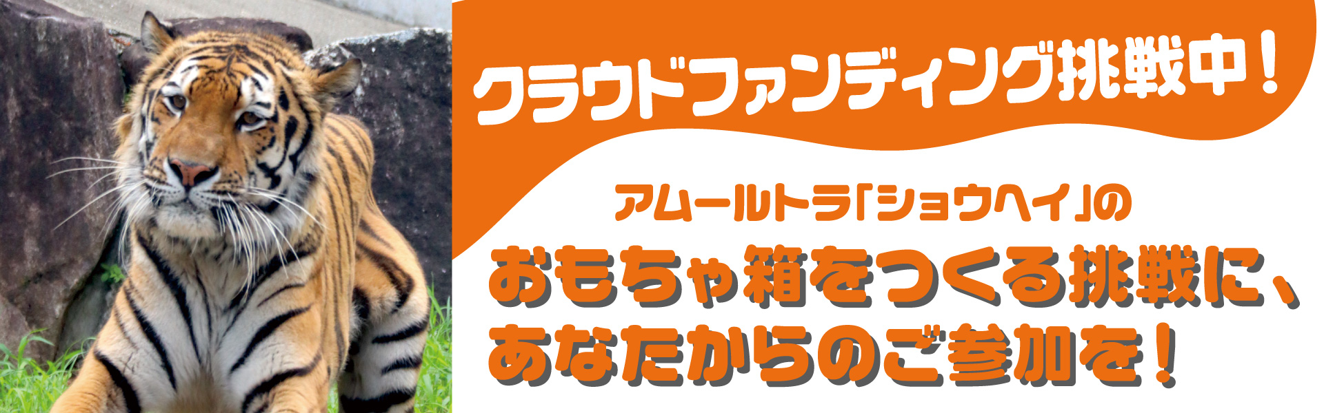 フローティングバナー用画像