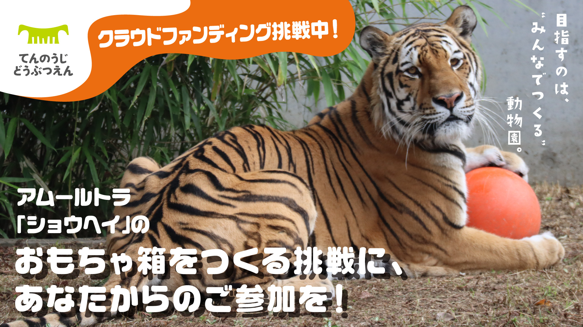 トップページロゴ下用画像