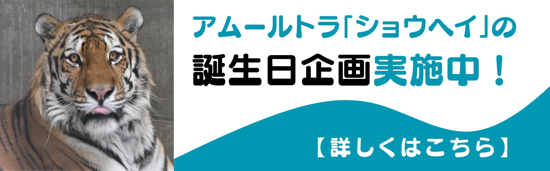 フローティングバナー用画像