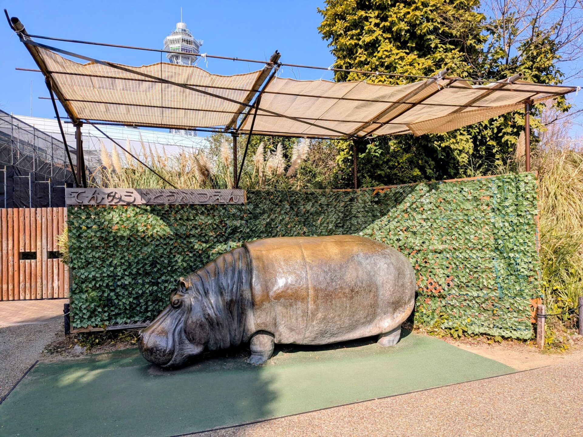 お客様の声（アンケート） | 地方独立行政法人天王寺動物園