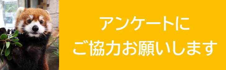 フローティングバナー用画像