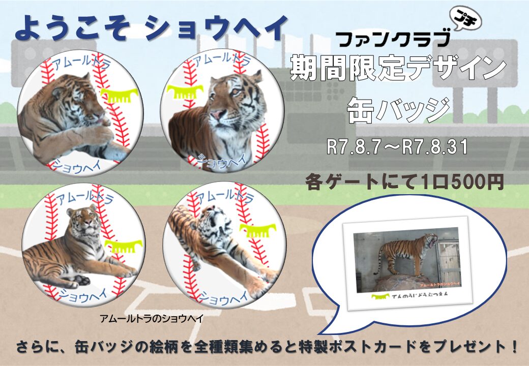 ファンクラブプチ特典に期間限定デザイン『アムールトラの